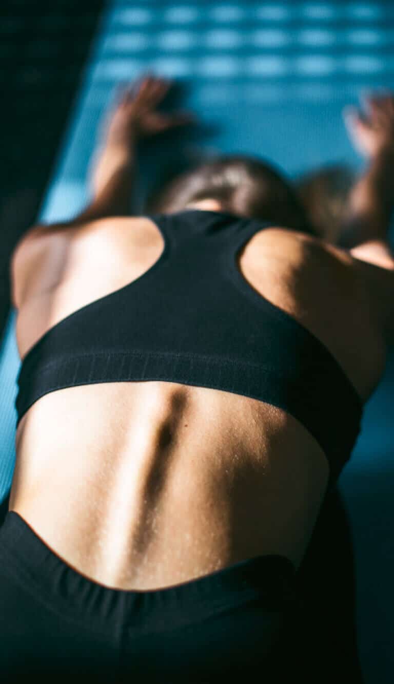 area-spine-1